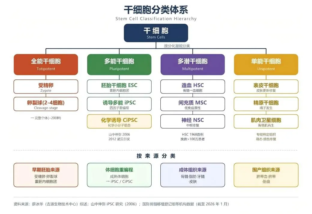 白皮书原文配图