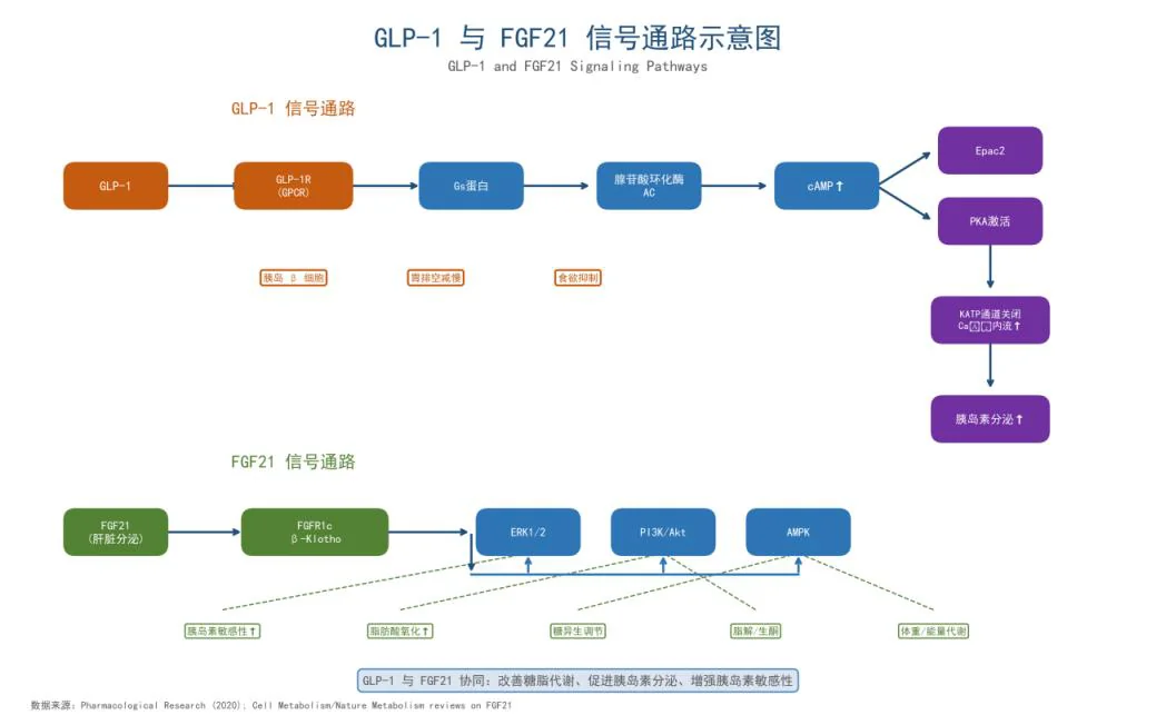 白皮书原文配图